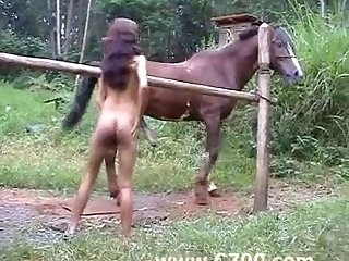 Caballos Y Mujeres Zoofilia
