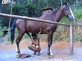 Videos Pornos Zoofilia 2025