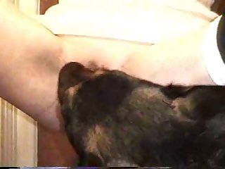 Classic 80s Porn Xxx