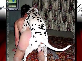 Kkvsh Porn Xxx