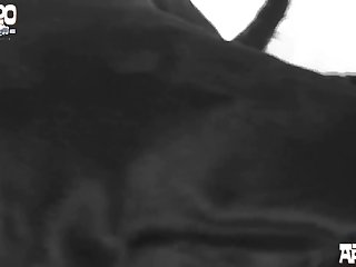 Jordinswetof Public Car Doub Xxx Onlyfans Porn