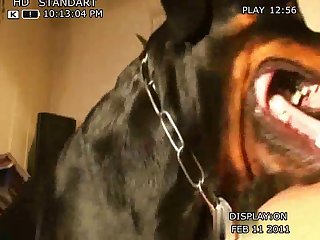 Awek Lesbian Xxx Porn