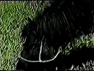 Rita Argiles Fucked Animated Gif Xxx Porn