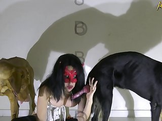 Jaiden Animations Fiaper Xxx Porn