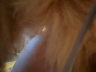 Bella Poach Xxx Porn