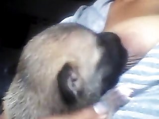 Xxx Indian Porn Video Download