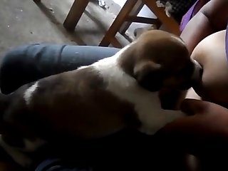 Indian Hindi Porn Xxx