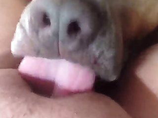 Avalon Mira Porn Xxx