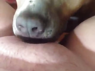 Avalon Mira Porn Xxx