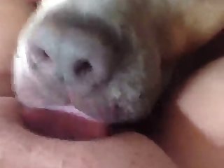 Avalon Mira Porn Xxx