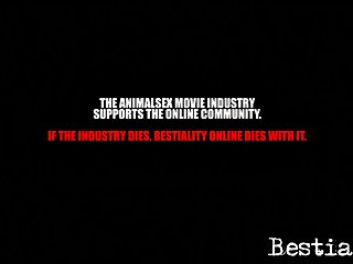 Animal Crossing Music Video Porn