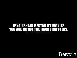 Animal Crossing Music Video Porn