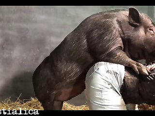 Xxx Videos Xnxx Video