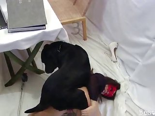 Dog Fucking Human Porn Video