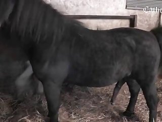 Xxx Anjali Arora Xnxx