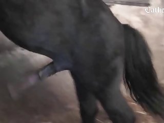 Xxx Anjali Arora Xnxx