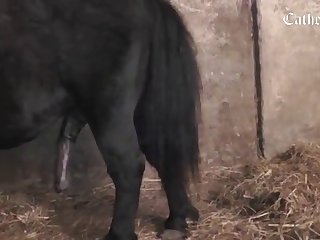 Xxx Anjali Arora Xnxx