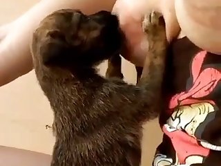 White Girl Fucks Dog Porn