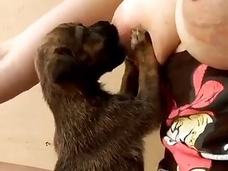 White Girl Fucks Dog Porn