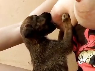 White Girl Fucks Dog Porn