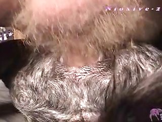 Bonne Blue Petting Zoo Porn