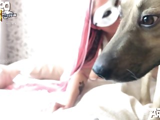 Anime Animal Sex Gifs