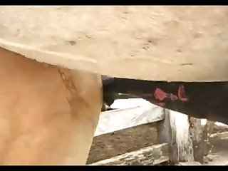 Light Madonna Ass 2