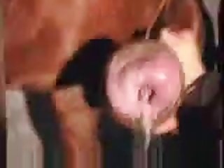 E1c Horse Handjob