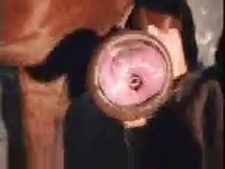 E1c Horse Handjob