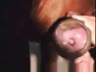 E1c Horse Handjob