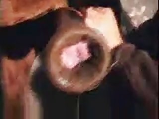 E1c Horse Handjob