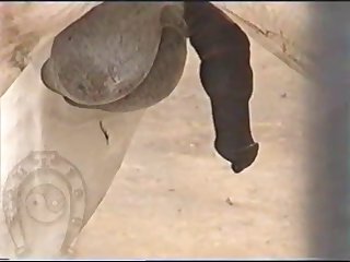 Horse Errect4