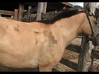 Light Madonna Stud 2