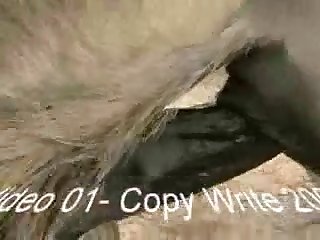 Ds Testvid01 Zetatracker