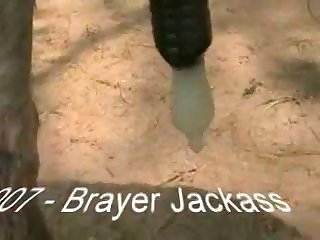 Ds Testvid01 Zetatracker