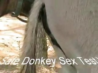 Ds Testvid01 Zetatracker