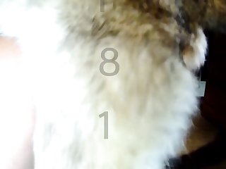 Im Skirby Dog Porn