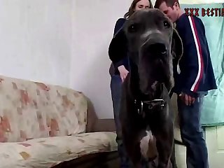 Orgasm Zoo Porn