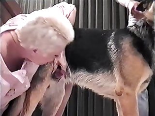 Female Animal Sex Videos