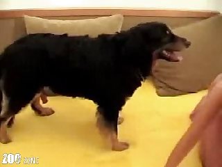 O Cachorro Transando Com A Mulher