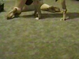 Homem Fudendo Cachorro