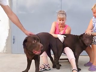 Asian Dog Porn