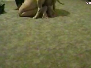 Janvaro Ka Sex