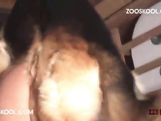 Here Boy Sexy Teen Zoophile Called Her Voice Low. Wake Up Boy