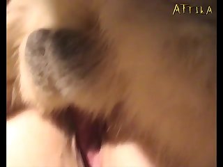 Check dog porn and don`t forget to like our vids