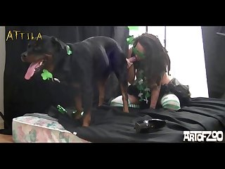 Dog Animal Porn